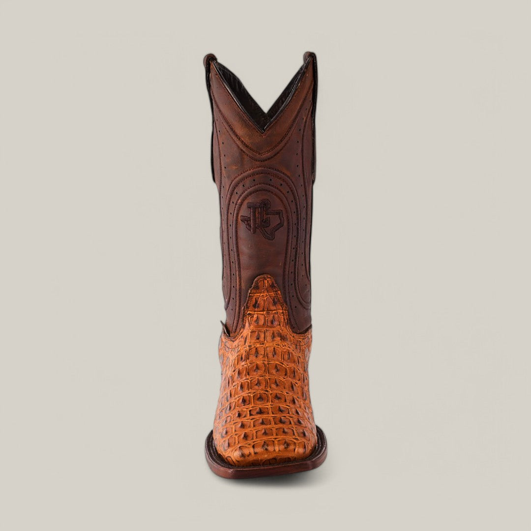 The Alligatoar Horn Back Print Honey - Square Toe cowboy boot combines a striking alligator leather texture on the foot with smooth leather on the shaft, featuring a unique square toe design and intricate stitching set against a simple light gray backdrop.