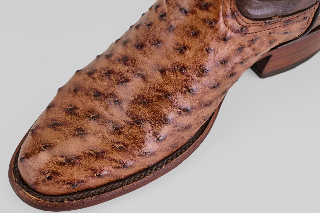 Austin – Kongo Brucciato – Roper Toe