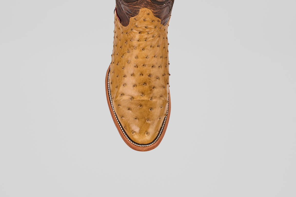 A top-down view of the Austin - Antique - Roper Toe boot in tan ostrich leather, featuring its distinctive texture and pointed toe, displayed against a plain white background.
