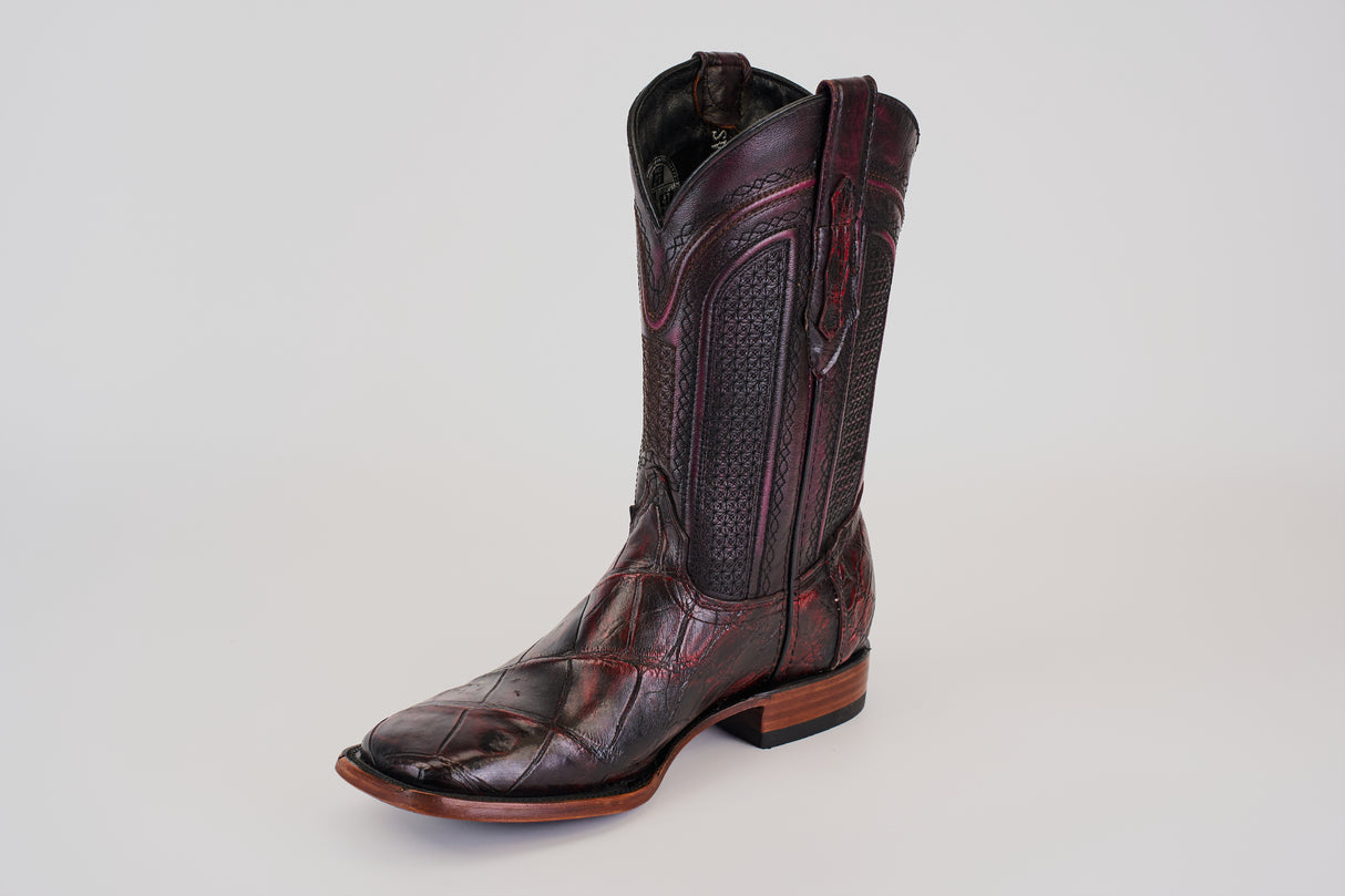 LG10 Lagarto Cola Belly Black Cherry