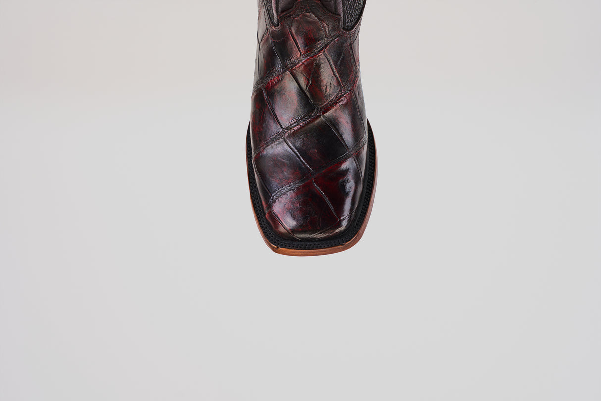 LG10 Lagarto Cola Belly Black Cherry
