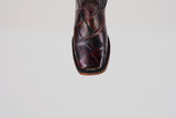 LG10 Lagarto Cola Belly Black Cherry