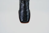 LG10 Lagarto Cola Belly Negro