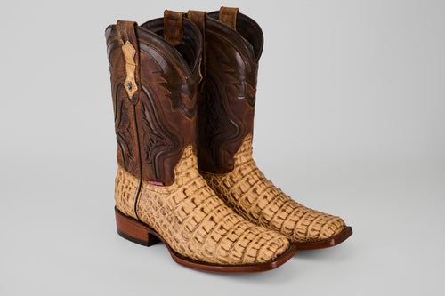 Exotic Caiman Hornback - Antique - Rodeo Toe