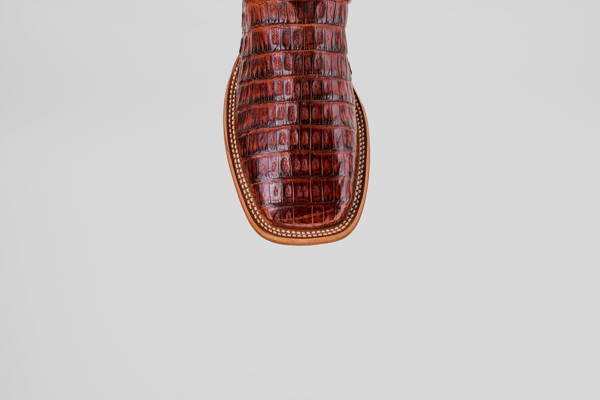 Exotic Caiman Tail - Cogñac - Square Toe