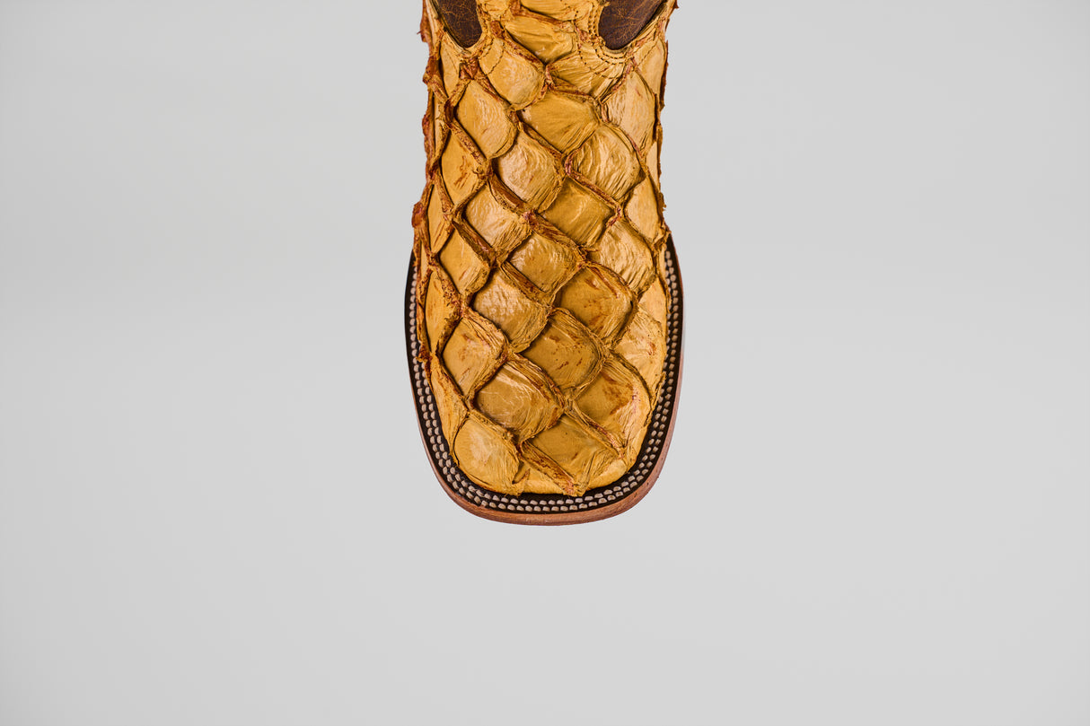 Exotic Pirarucu Fish - Buttercup - Square Toe