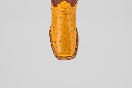 A close-up of the Ransom - Buttercup - Square Toe boot from the Platinum Collection, highlighting its yellow exotic ostrich leather, square toe, and decorative stitching against a plain gray background.