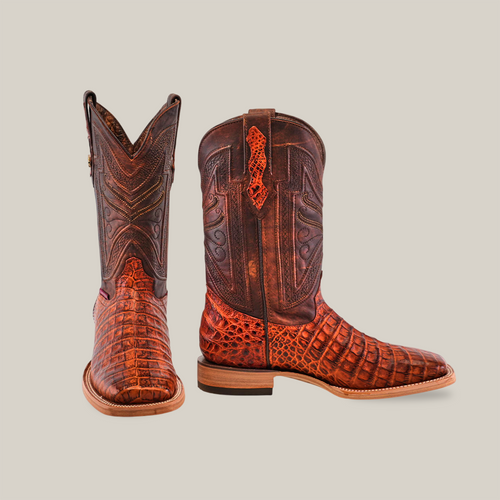 LM10 Belly Caiman Brandy