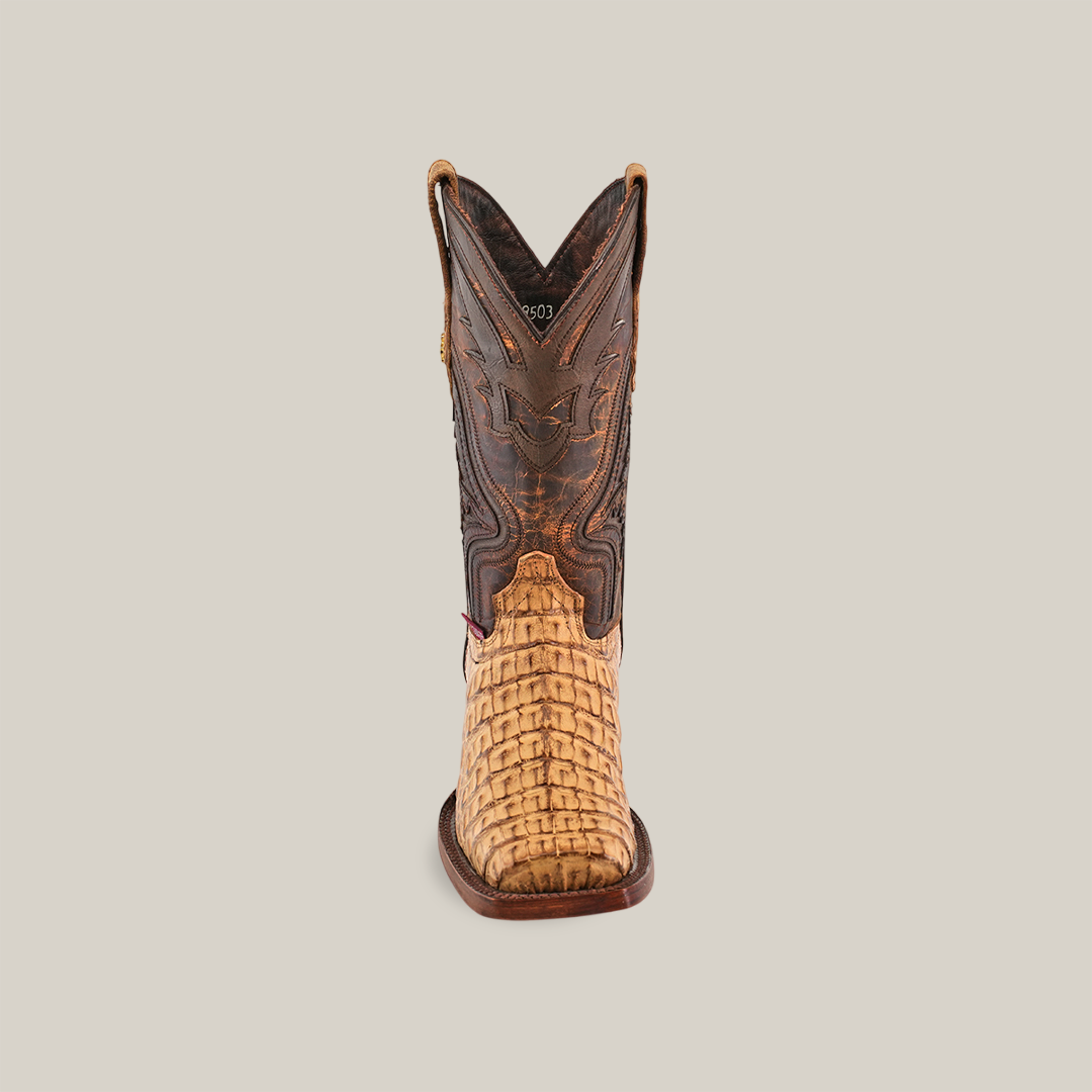 A single Exotic Caiman Hornback - Antique - Rodeo Toe boot with a woven tan leather toe and detailed dark brown shaft, featuring decorative stitching, displayed on a plain white background.