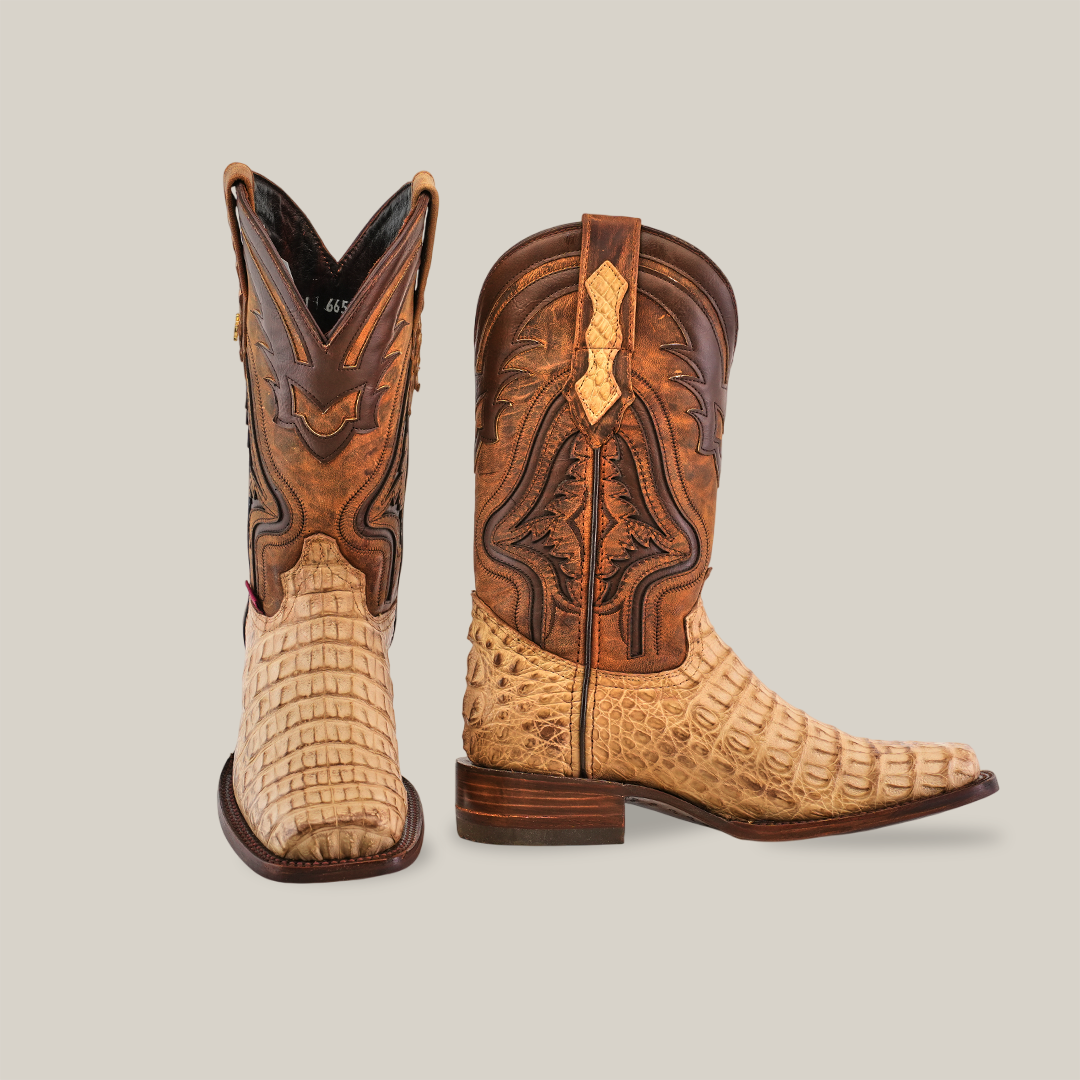 The Exotic Caiman Hornback - Orix - Rodeo Toe boots boast a stylish design with a light beige Caiman Hornback texture on the foot, and premium dark brown leather with detailed stitching on the shaft, all set against a plain white background.