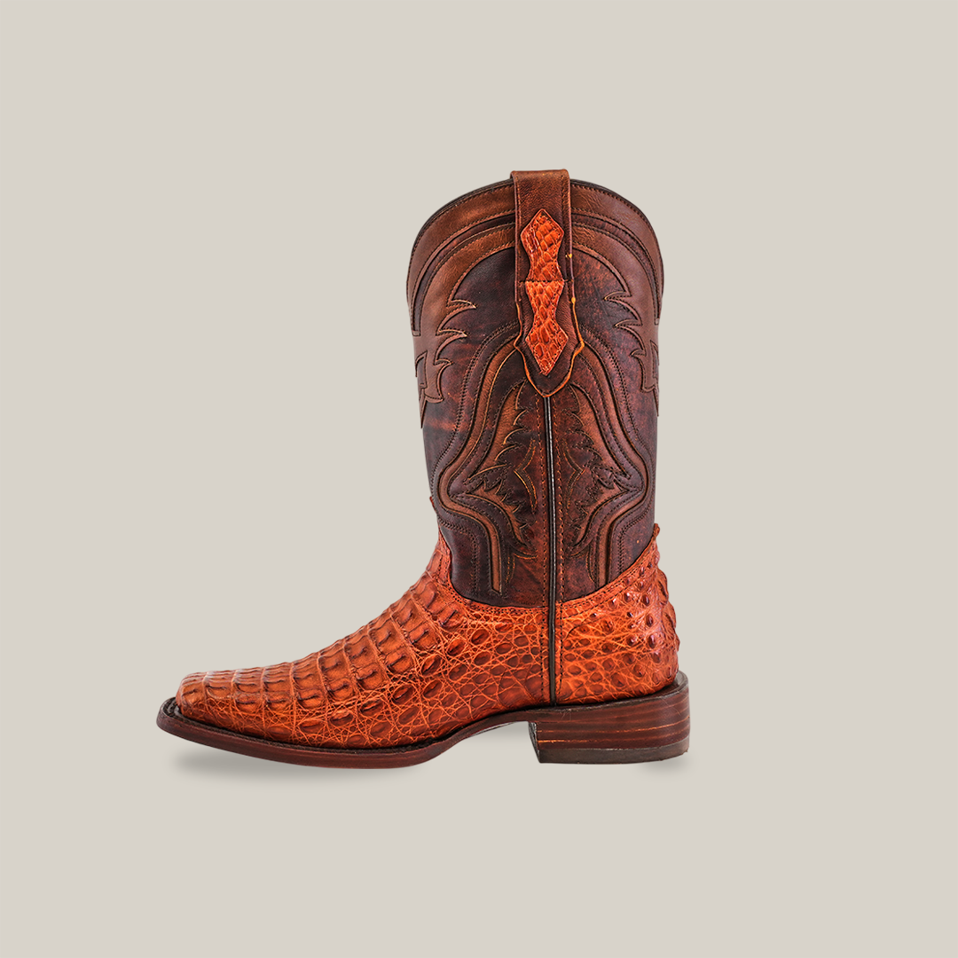 The Exotic Caiman Hornback - Brandy - Rodeo Toe cowboy boot, crafted from genuine caiman leather, features intricate stitching and a detailed textured pattern on the lower half. It appears in rich brown with orange accents against a white background