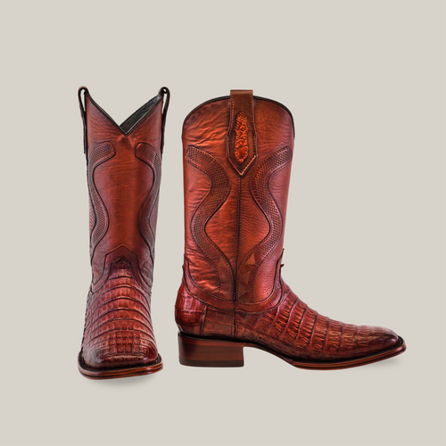Caiman Cola Brandy H-501 Diamante