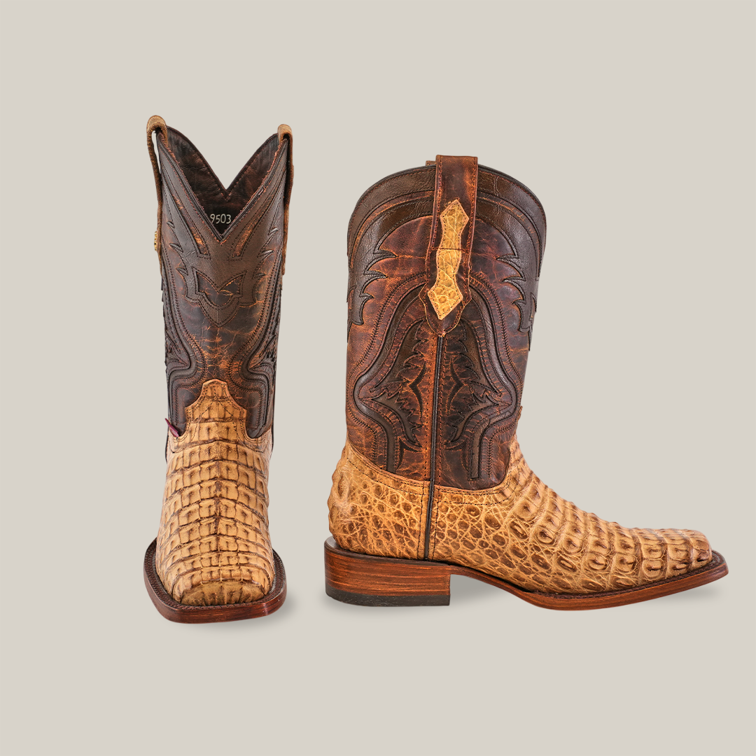 A pair of Exotic Caiman Hornback - Antique - Rodeo Toe boots, one forward and one to the side. Made from genuine caiman leather, they display a light brown textured crocodile pattern below and dark brown leather with intricate stitching above.